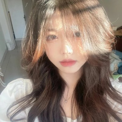 堪萨斯小猫