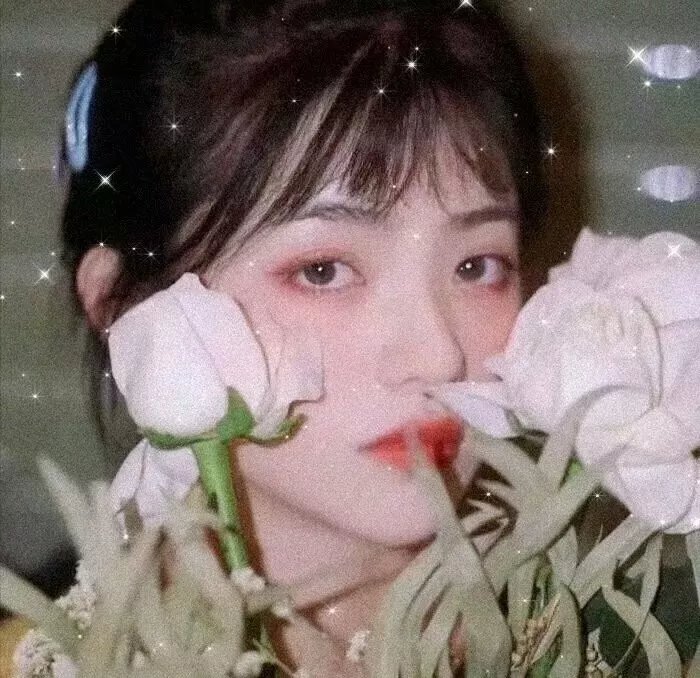 极地情天